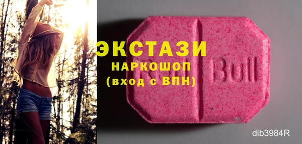 ECSTASY Гусиноозёрск