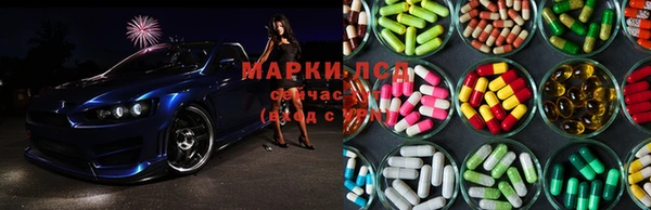 дживик Архангельск