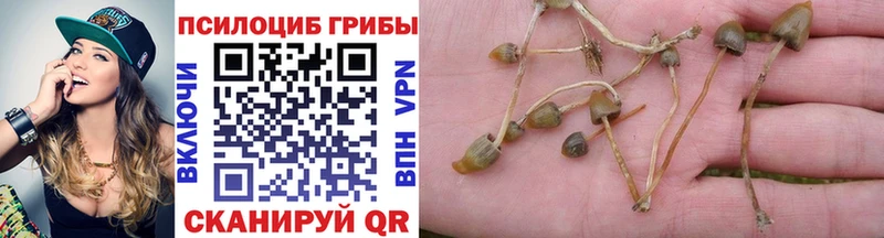 купить  сайты  Светлоград  Галлюциногенные грибы мухоморы 