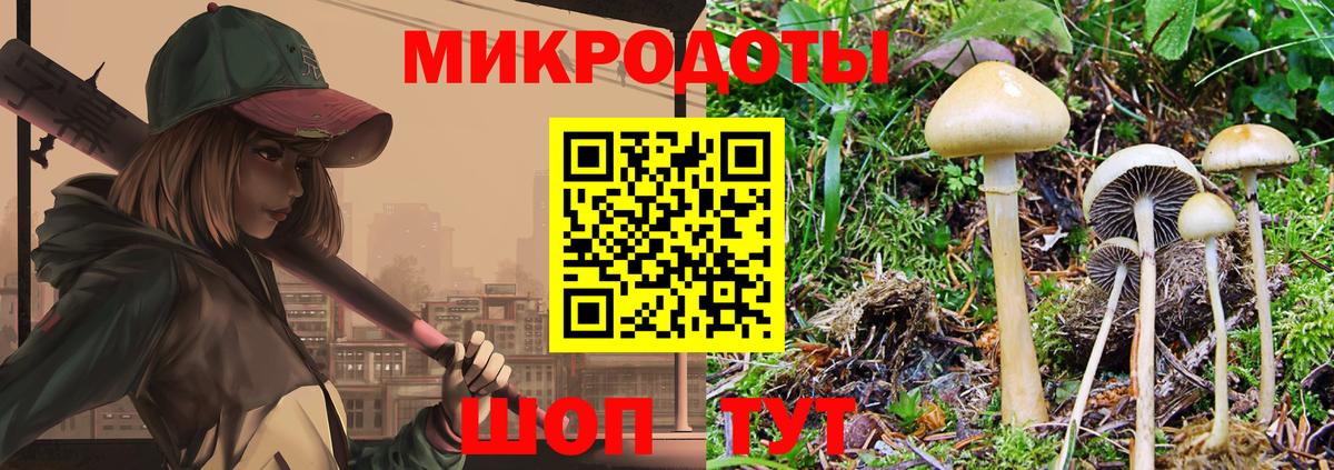 Псилоцибиновые грибы ЛСД Светлоград