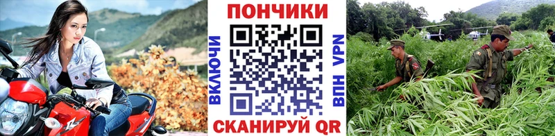 Бошки марихуана семена  что такое   Светлоград 