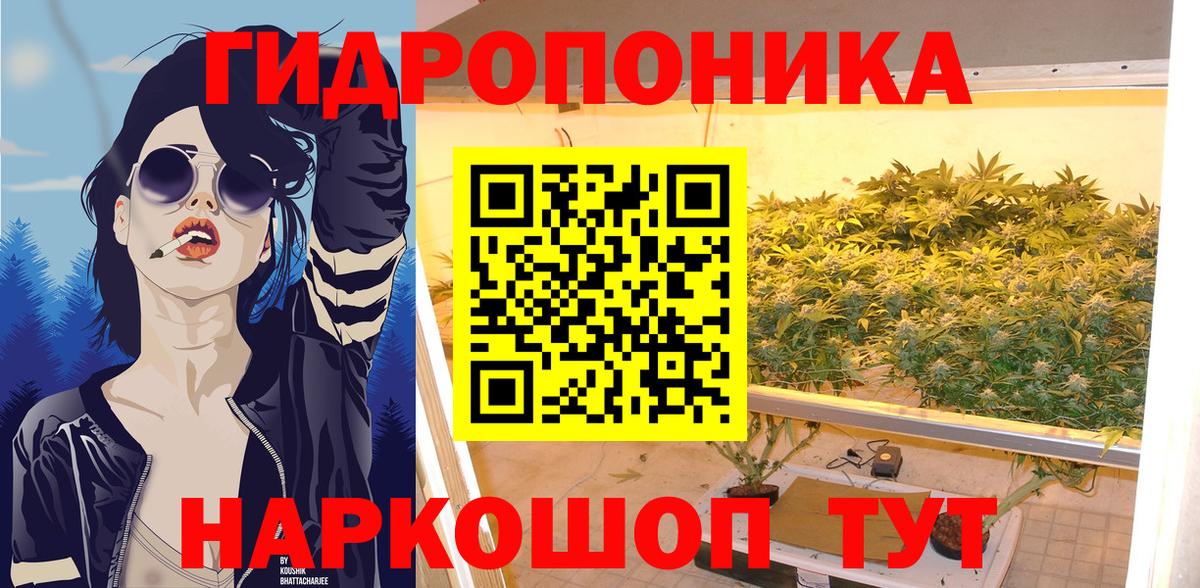 Шишки марихуана конопля  Светлоград  Конопля SATIVA & INDICA  Шишки марихуана AK-47  Конопля план 